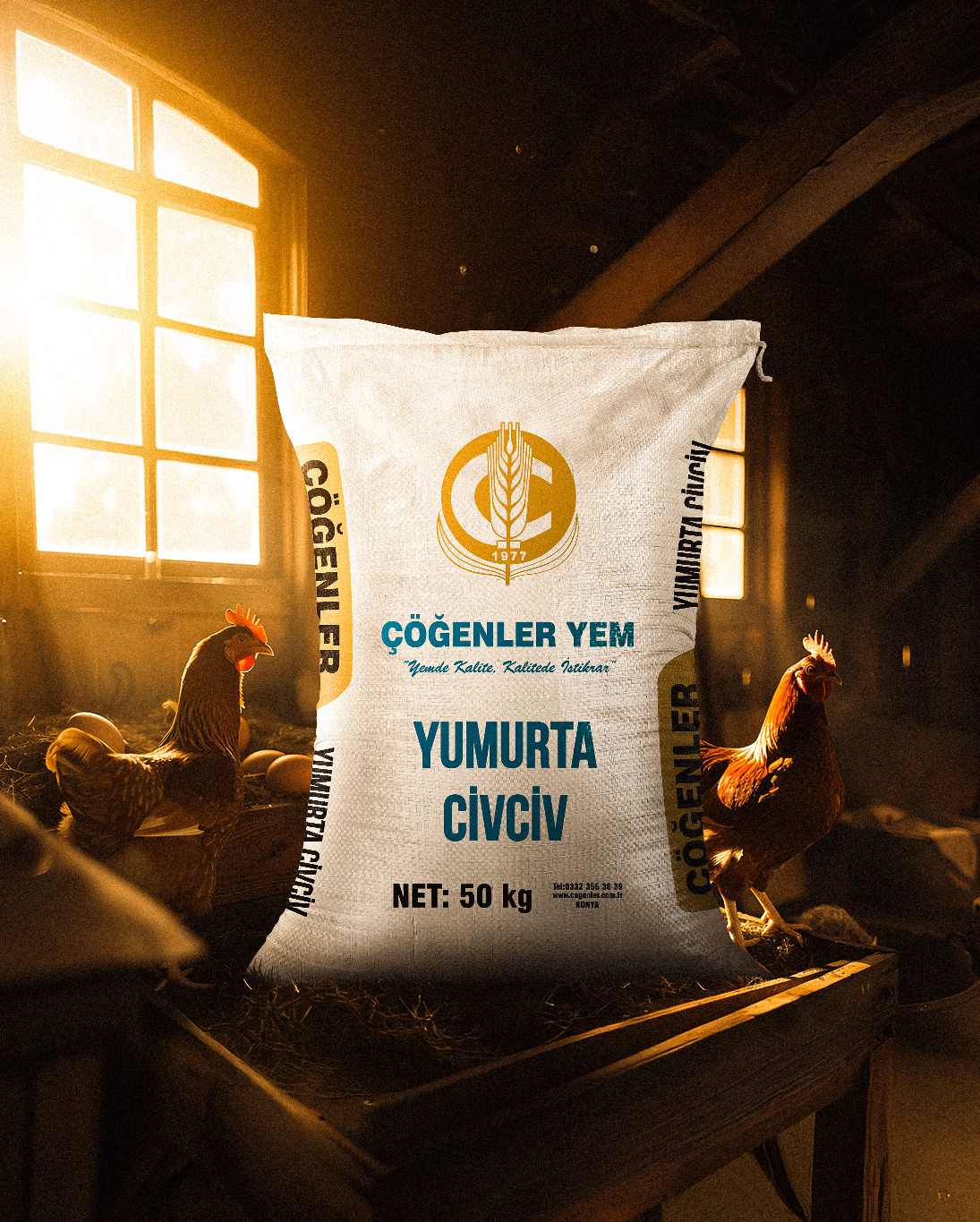 Yumurta Civciv