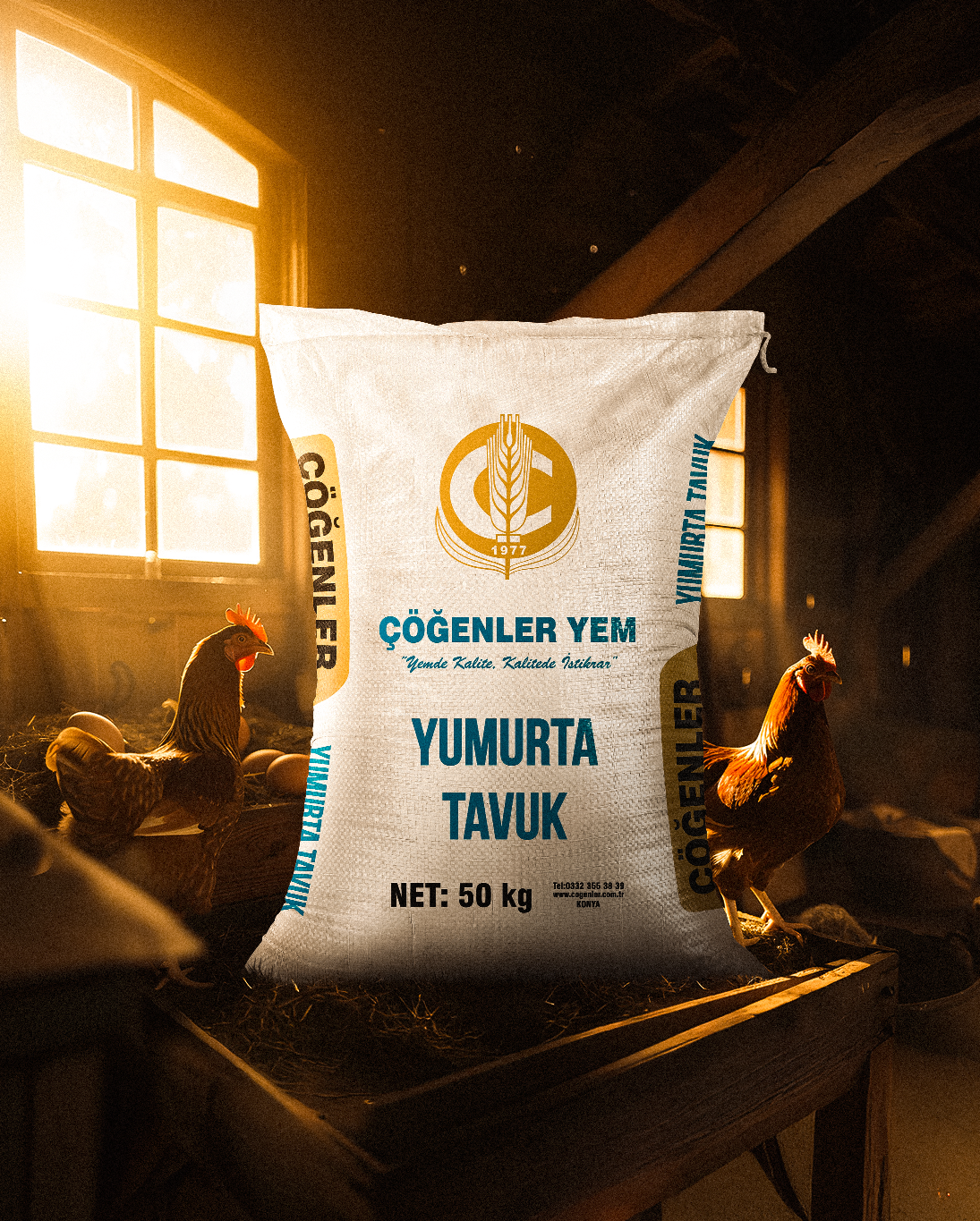 Yumurta Tavuk