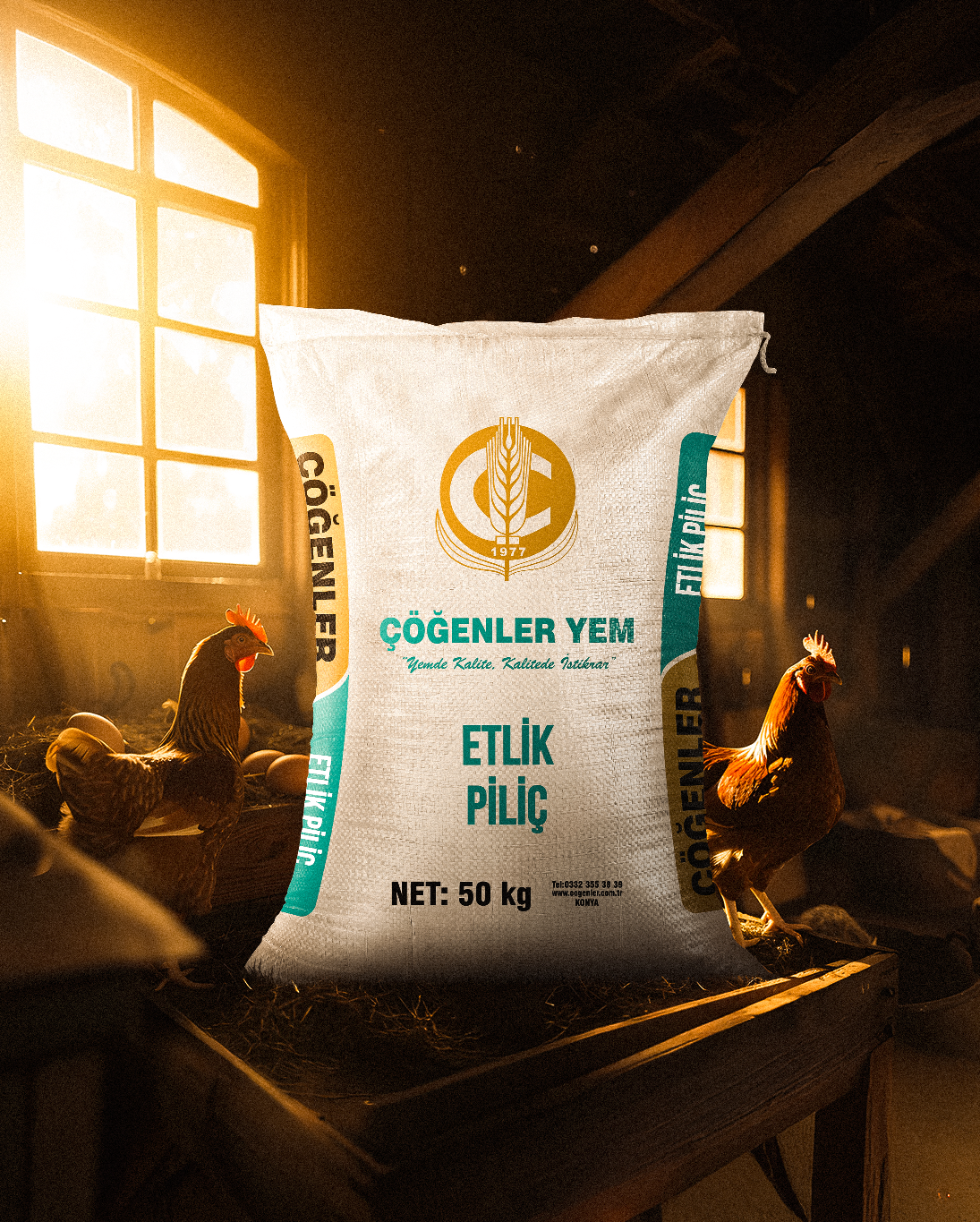 Etlik Piliç