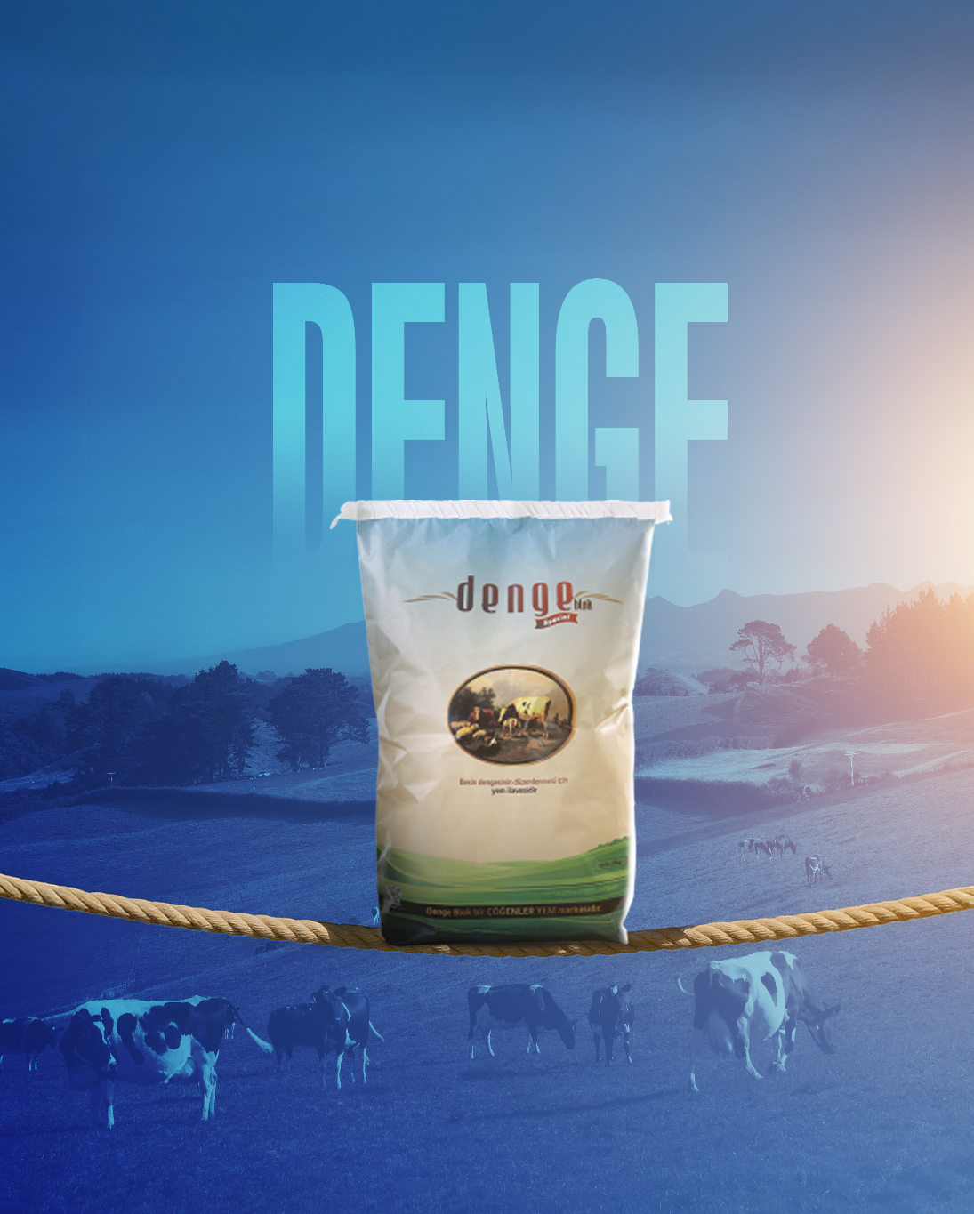 Denge Blok FORCE
